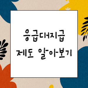 응급대지급제도 정리(신청방법, 분할납부)