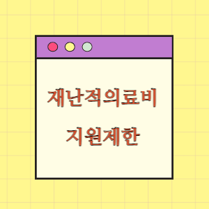 재난적의료비 지원제한 사유 정리