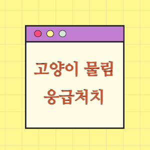 고양이 물림 사고 후 부적절한 조치로 장애 진단을 받은 데 대한 손해배상 요구