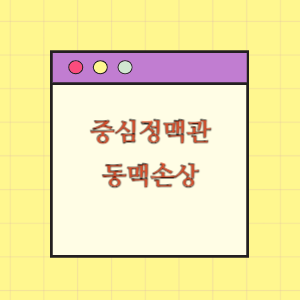 중심정맥관 삽입 후 동맥손상으로 사망에 따른 손해배상 요구