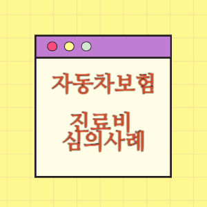 자동차보험진료수가심사위원회 심의사례