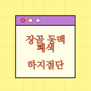 장골 동맥 폐색으로 하지 절단에 따른 손해배상 요구