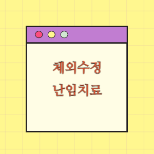 체외수정 난임시술(대상, 방법)