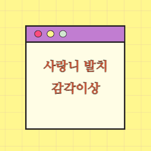 사랑니 발치 후 감각이상에 따른 손해배상 요구