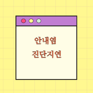 안내염 진단지연으로 실명에 따른 손해배상 요구