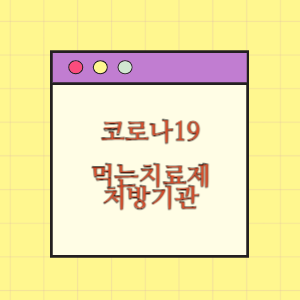 코로나 19 먹는치료제 처방기관