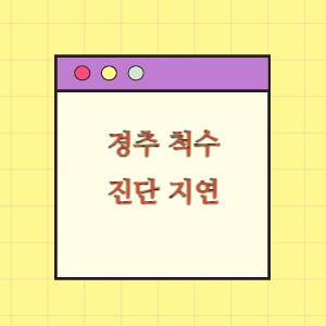 경추 척수 손상 진단 지연에 따른 보상 요구
