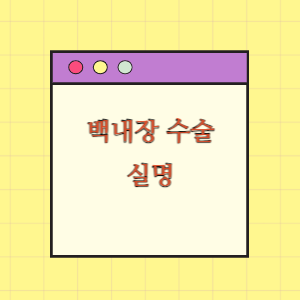 백내장 수술 후 실명에 따른 손해배상 요구