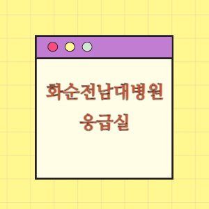 화순전남대학교병원 응급실 안내