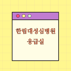 한림대학교성심병원 응급실 진료받기