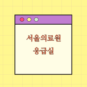 서울의료원 응급실 진료받기