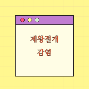 [의료분쟁] 제왕절개수술 후 감염