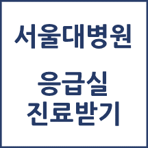 서울대학교병원 응급실 진료받기