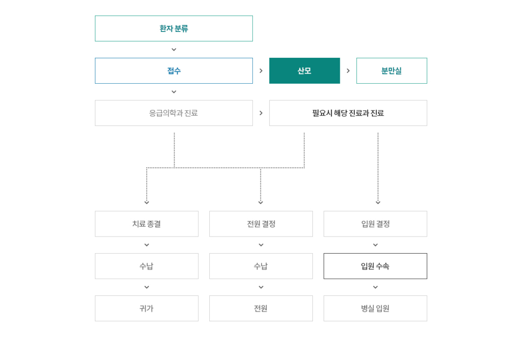 이대서울병원 응급실 진료