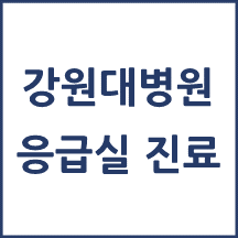 강원대병원 응급실