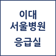 이대서울병원 응급실