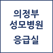 의정부성모병원 응급실