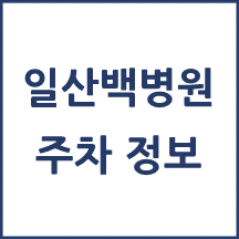일산백병원 주차 안내