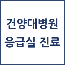 건양대병원 응급실