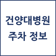 건양대병원 주차 안내