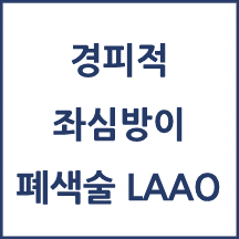 경피적 좌심방이 폐색술(LAAO) 실시기관