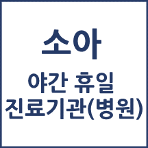 소아 야간·휴일 진료기관(달빛어린이병원)