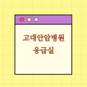 고려대학교 안암병원 응급실 진료받기