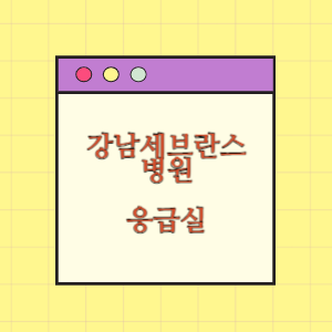 강남세브란스병원 응급실