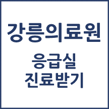 강릉의료원 응급실 이용안내