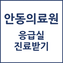 안동의료원 응급실 이용안내