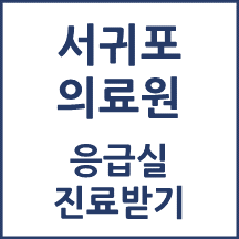 서귀포의료원 응급실 이용안내