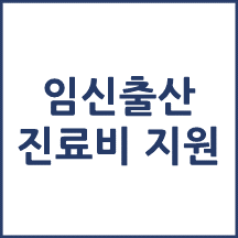 임신·출산 진료비 지원