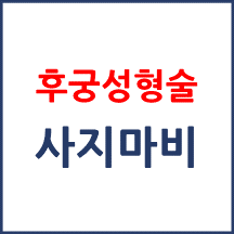 [의료분쟁] 후궁성형술 후 사비마비