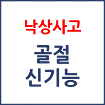 [의료분쟁] 낙상 골절과 신기능 저하