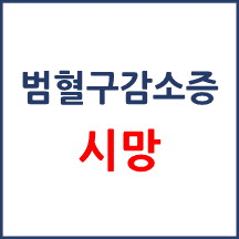 [의료분쟁] 범혈구감소증 사망