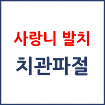 [의료분쟁] 사랑니 발치 치관파절