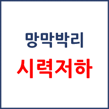 [의료분쟁] 망막박리 후 시력 나빠짐