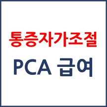 통증자가조절법(PCA) 급여 기준