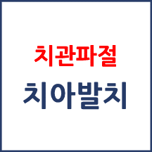 [의료분쟁] 치관파절과 다른 이 발치