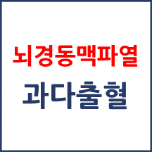 [의료분쟁] 뇌경동맥 파열로 출혈