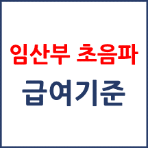 임산부 초음파 주수별 급여 인정 횟수
