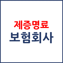 제증명료(보험회사) 비용
