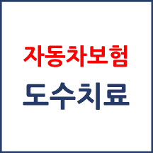 자동차보험 도수치료 기준