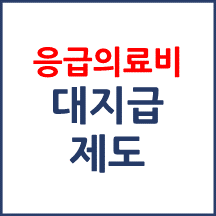 응급대지급 제외 대상