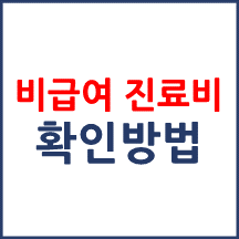 비급여 진료비 확인 방법