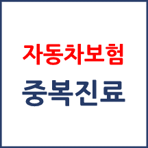 자동차보험 양한방 중복진료