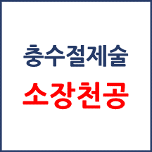 [의료분쟁] 소장 천공(충수절제술)