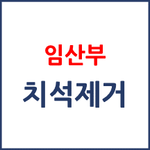 임신중인데 치석제거 시 본인부담률이 어떻게 되나요?