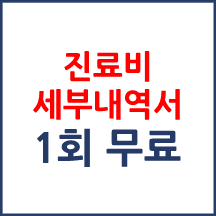 진료비 세부산정내역의 최초 제공하는 1부란 무엇을 의미하나요?