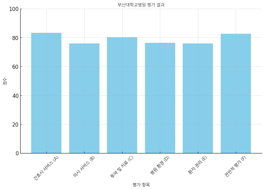 부산대학교병원 분석보고 : 환자경험평가 결과 및 서비스 세부 분석